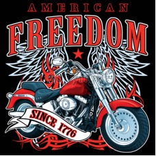 American Freedom Bike